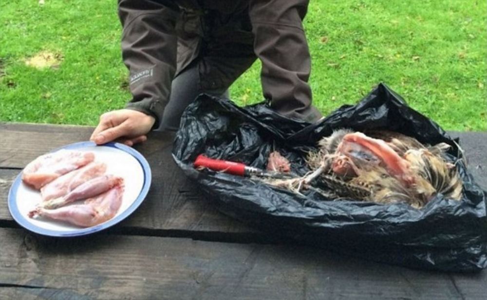 女记者整整一年只吃自己猎获动物的肉 (高清组图)