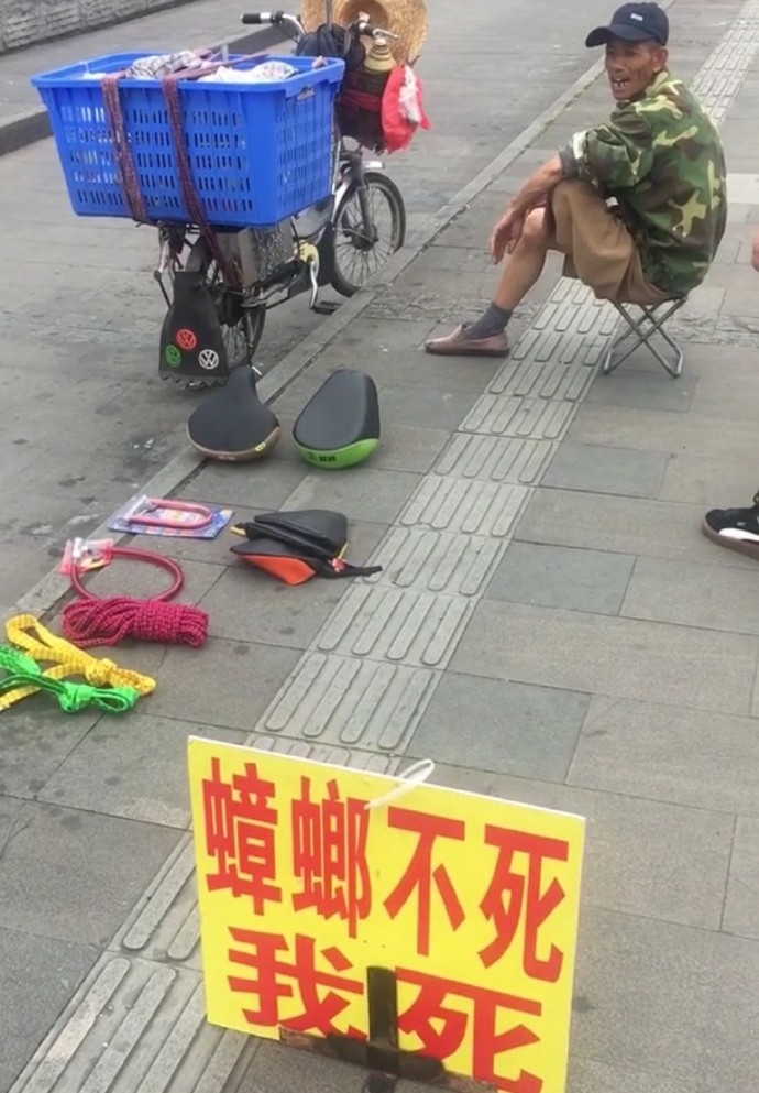 "笑的我当场去世"的图片,大爷:蟑螂不死,我死!网友:狼人!