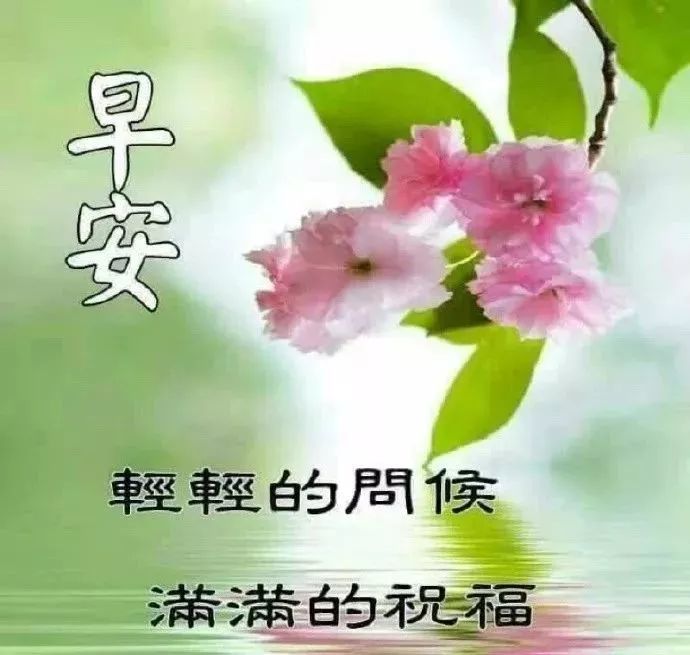 11月5日问候大家早上好的早安祝福语图片最新早晨好问候祝福语短信