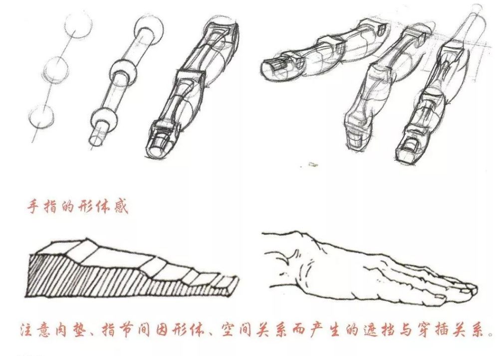 速写局部刻画之手部