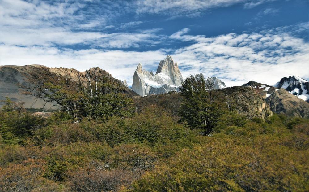 阿根廷40号国道上的风景