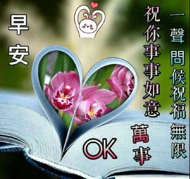 大家早上好,最美早上好祝福语表情带文字 2020早上好