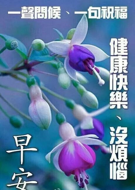 特别漂亮的早上好祝福表情问候图片带字,早安祝福问候