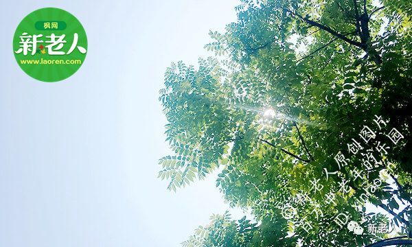 所有中老年人注意：马上入伏了！暗藏杀机的三伏天，这些事你千万别做！