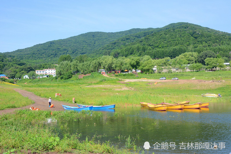 吉林唐家崴子松花湖畔夏日景观 湖光山色美景醉人