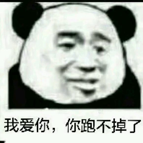 熊猫头搞笑表情包:都一把年纪了,还这么不知羞耻啊!
