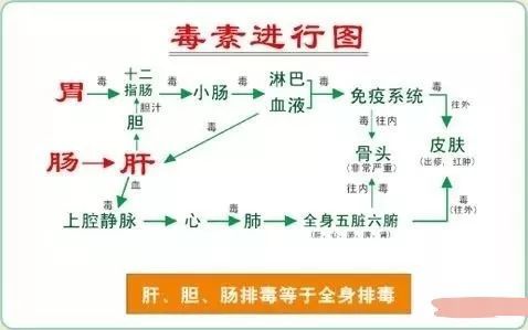 毒素的来源以及危害有哪些?