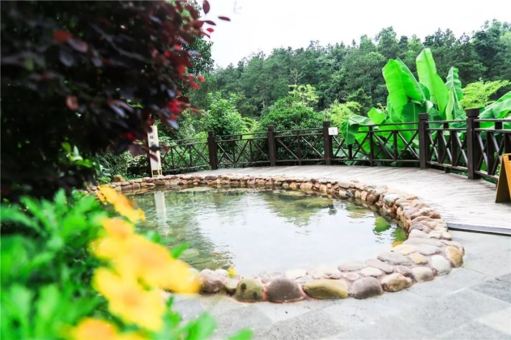 乌当区新堡乡的枫叶谷旅游度假区,是一个集精品住宿,养生餐饮,温泉