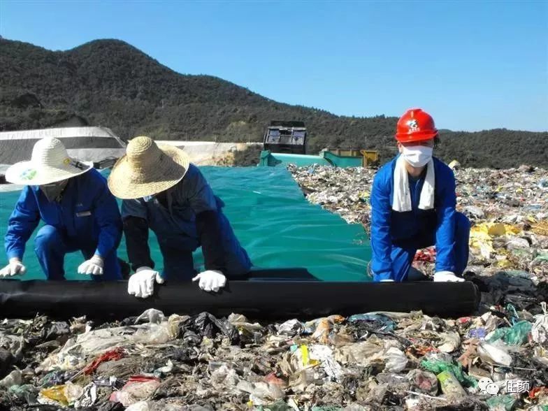 中国十亿垃圾人口_用树叶代替塑料可做出世界上最环保的一次性餐具