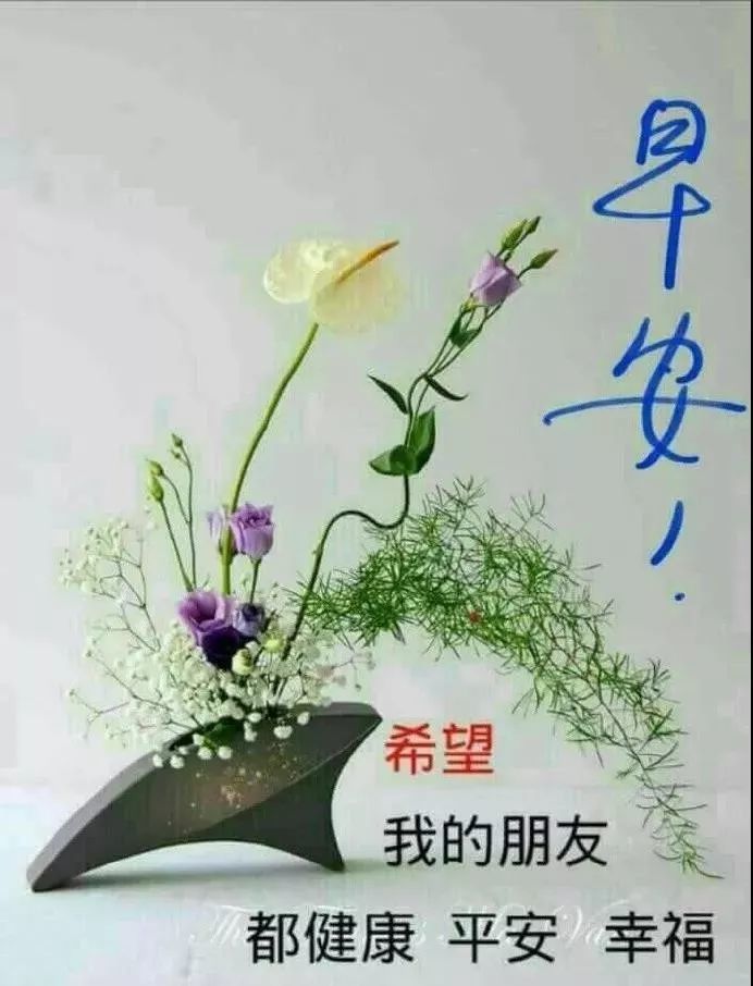 大年初七超级漂亮早上好动态图片大全 早上好鲜花表情