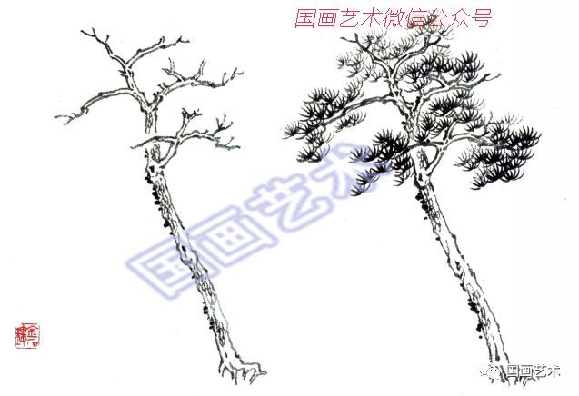 单株松树画法松树干一般采用鱼鳞皴的画法,其皴法不一,要与松针和山石