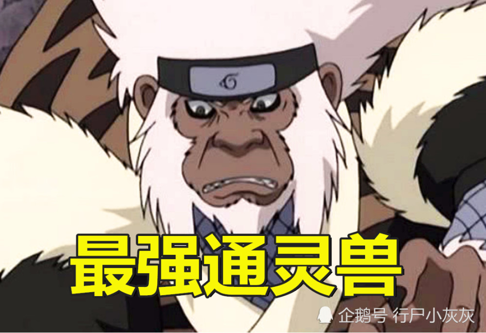 火影猿魔为何被称最强通灵兽看到猿魔的丫丫瞬间明白了