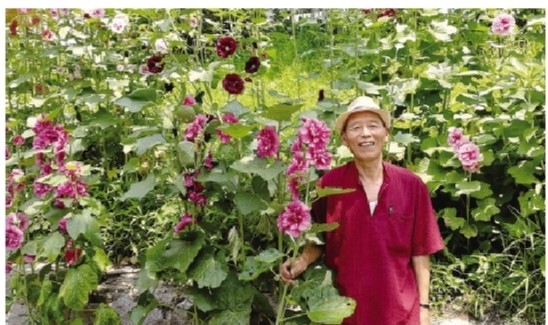 花爷爷8年种出近600米鲜花步道