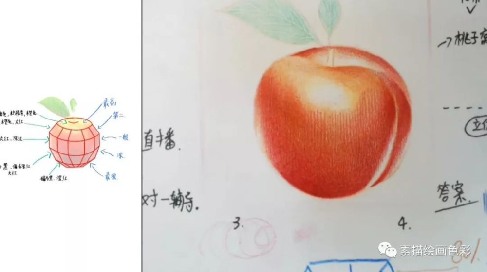 素描静物~彩铅桃子步骤步骤