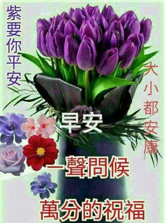 早上好的最新问候语朋友圈2020 早上最棒的祝福表情图片