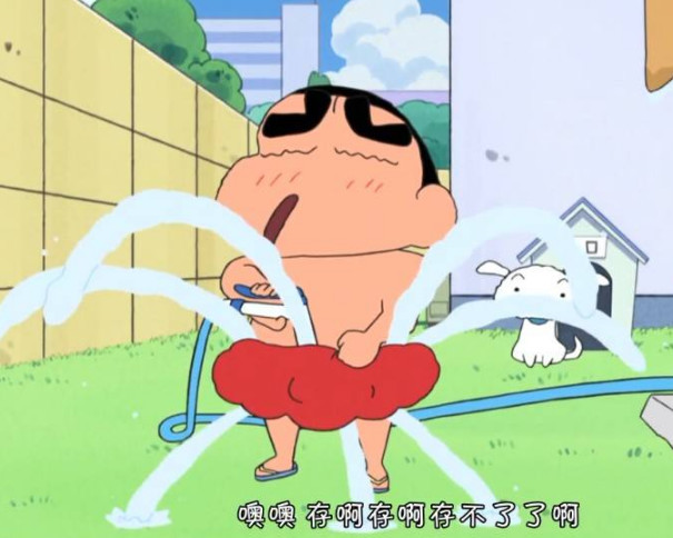 请用一句话证明看过蜡笔小新,