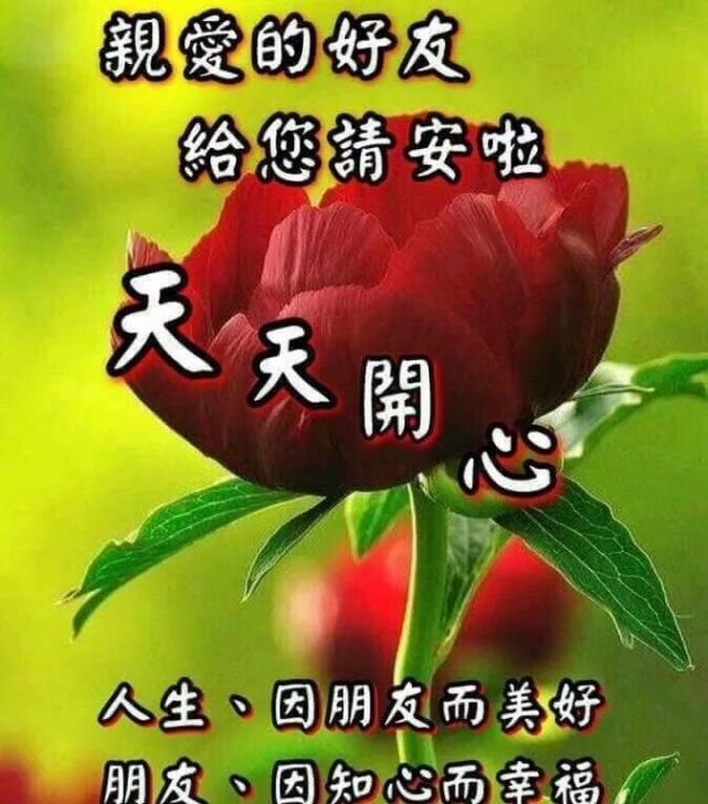 早上好图片大全阳光句子 早上好表情图片带祝福语 好