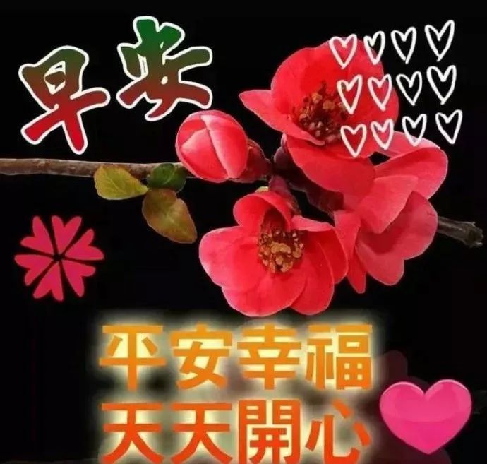 4月26日温馨的早安问候祝福语动态图片,清晨早安问候祝福语唯美图片