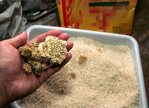 大米发霉变成"黄大米",这种大米可能存有黄曲霉毒素,一种致癌物,且