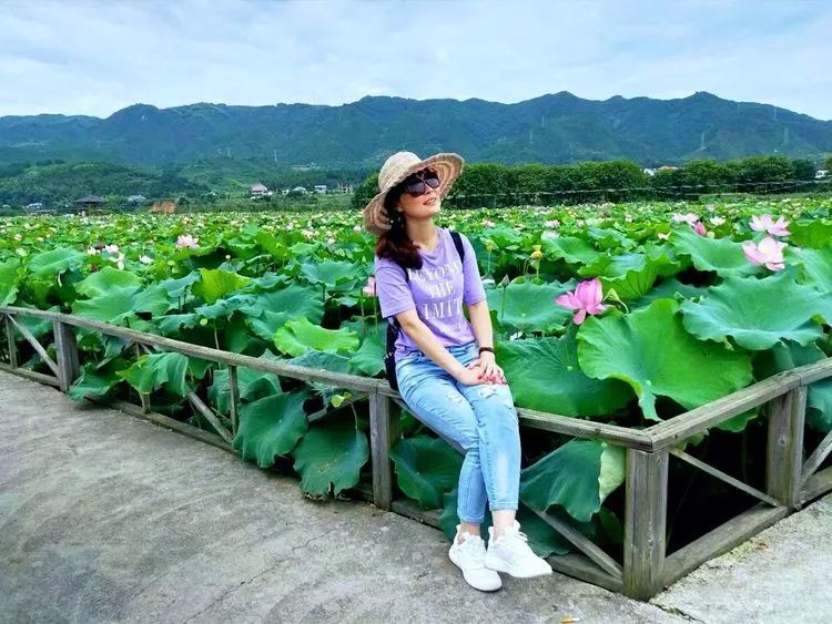 而且还能让你深刻体会出:荷花,不仅仅只是代表着人类的坚贞与纯洁