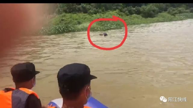 阳江阳春河中发现一具男性浮尸,死者身份已经确认