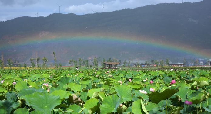 麒麟水乡