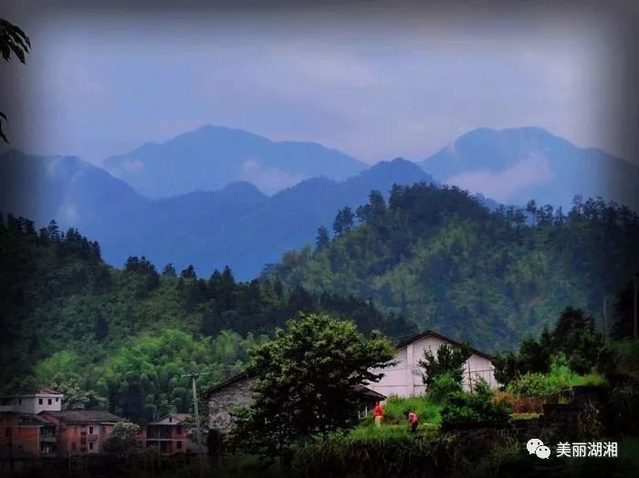 竹溪村的青山绿水