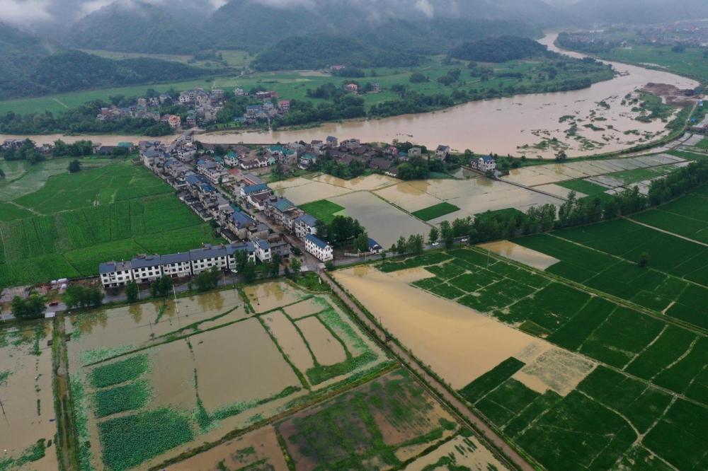 2019年7月8日,航拍江西省上饶市铅山县湖坊镇河东村农田被洪水淹没.