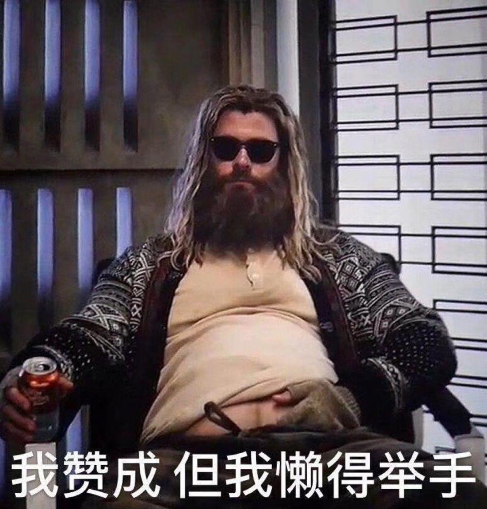 表情包:我赞成,但我懒得举手