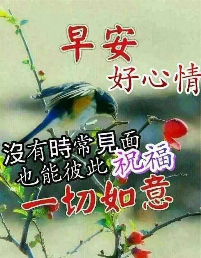 周四早上好问候语阳光句子 清晨祝福图片表情
