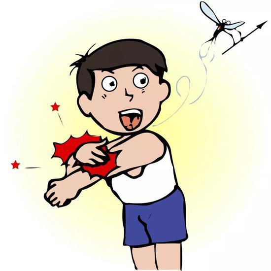 可恶的蚊子(图片来源:veer图库)