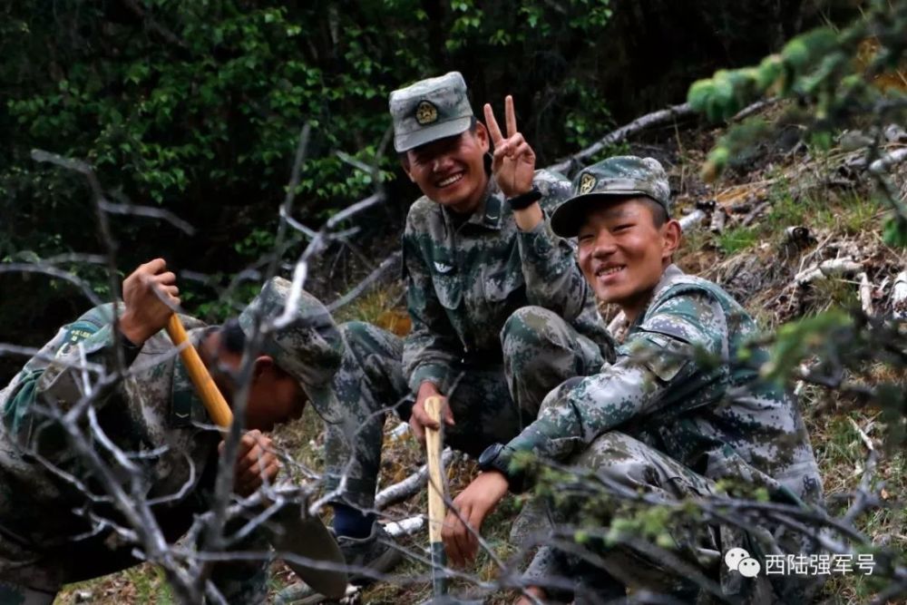 踏遍青山人未老"金刚钻"旅风景独好