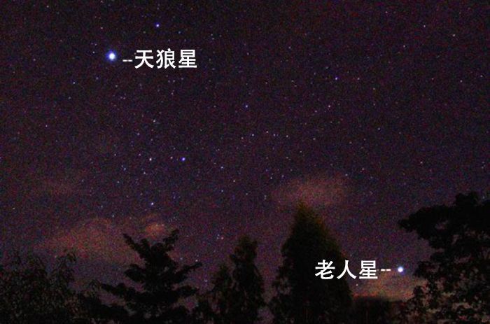 肉眼可见第二亮恒星老人星有多大天文学家怎么测出来的