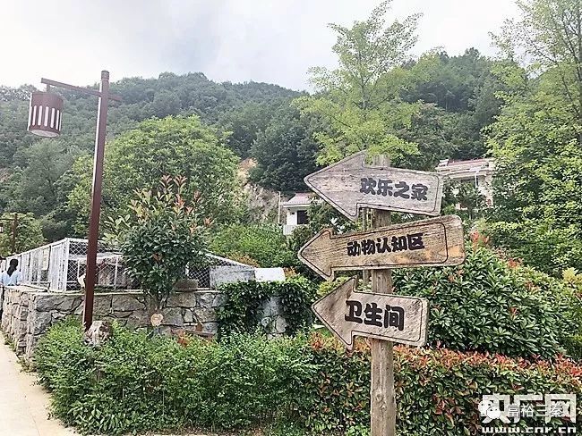 镇安:穷山沟变身童话小镇 绘就美丽乡村新画卷