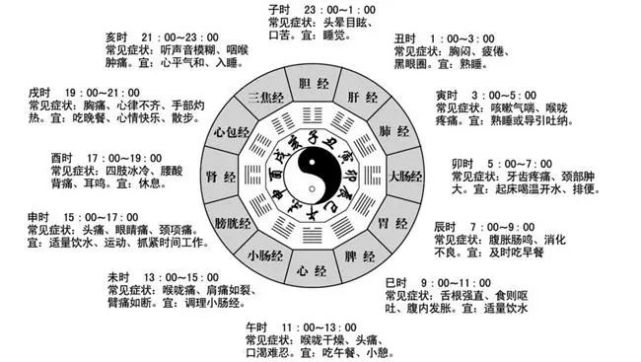 每个时辰对应人体一条经脉,每条经脉又联系着相应的脏腑.