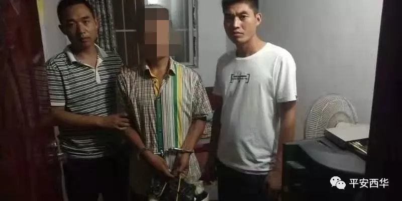 李大庄人口_人口普查(2)