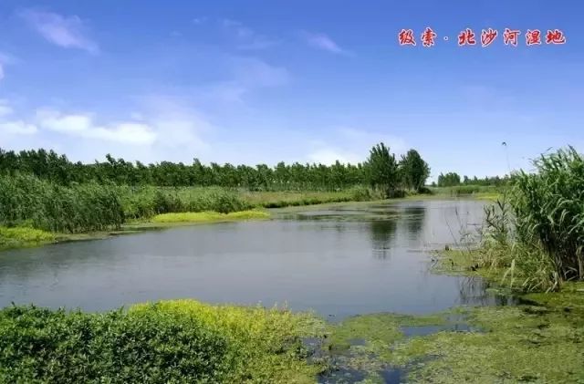 滕州人口排_滕州一中图片