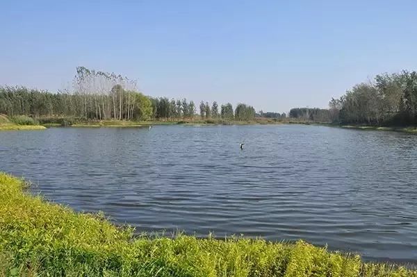 滕州人口排_滕州一中图片