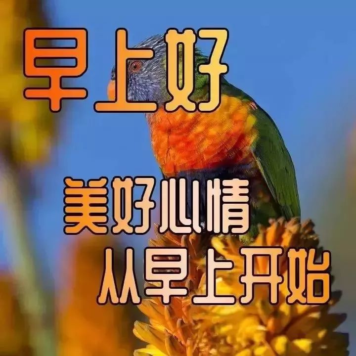 唯美清晨早上好最美丽问候祝福语动画表情图片早安问候语温馨