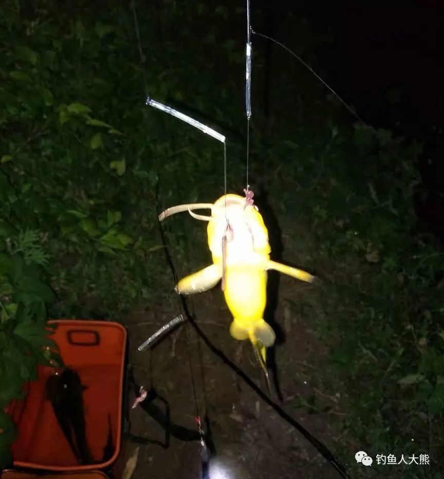 夜钓黄颡鱼用蚯蚓还是商品饵?钓了整整一个通宵后,我