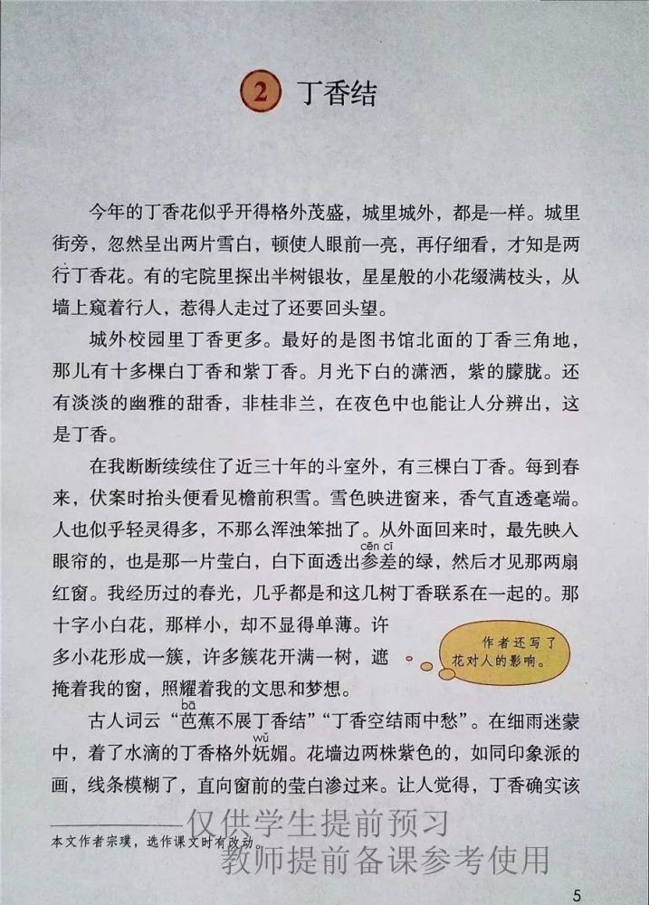 六年级丁香结