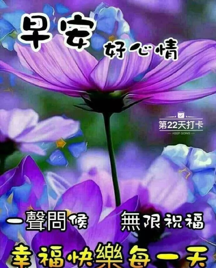 早安最美图片2020群里,2020最美早安图片唯美 2020清晨最美早上好动画表情图片带字,暖心的早安祝福