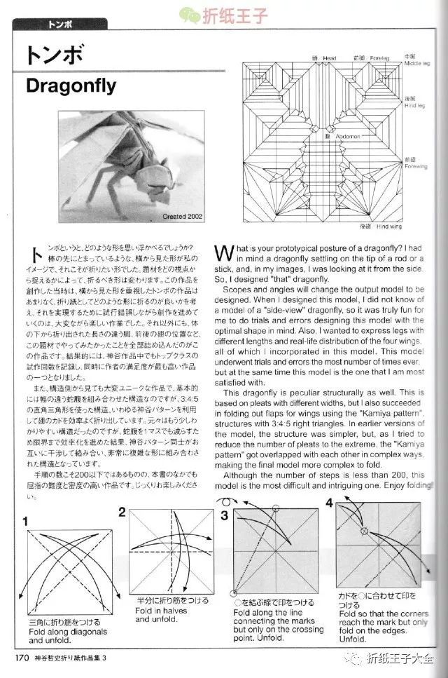 神谷哲史蜻蜓折纸图解