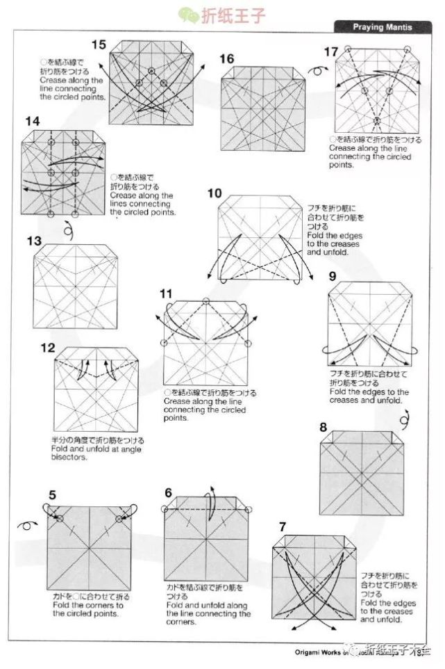 神谷哲史螳螂折纸图解