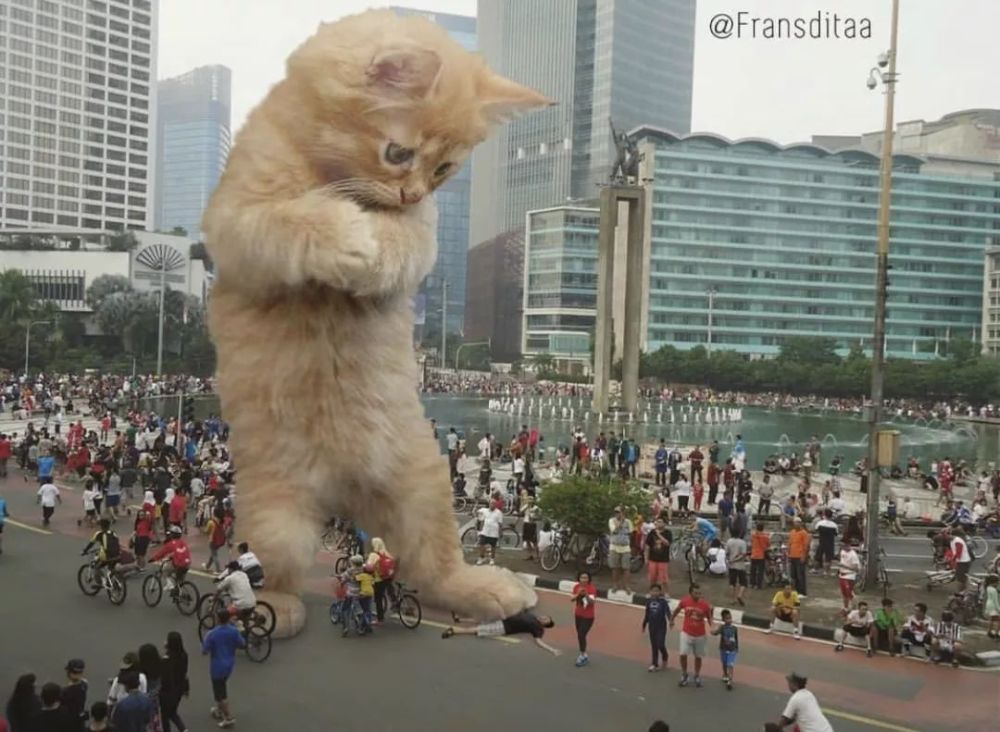 不敢想象!当猫星人变成哥斯拉