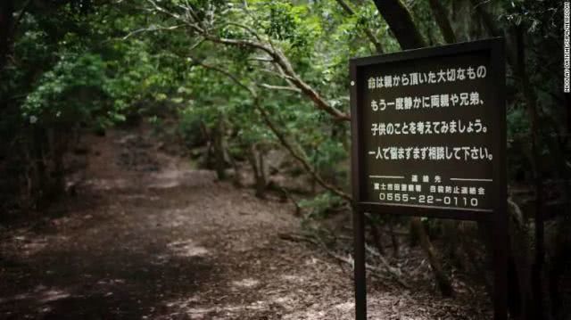 超过1000人在这里自杀日本青木原森林有何诡异之处