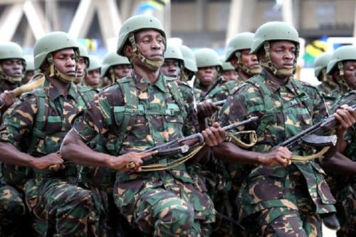 坦桑尼亚国防军,号称东非解放军的他们,从师傅身上学