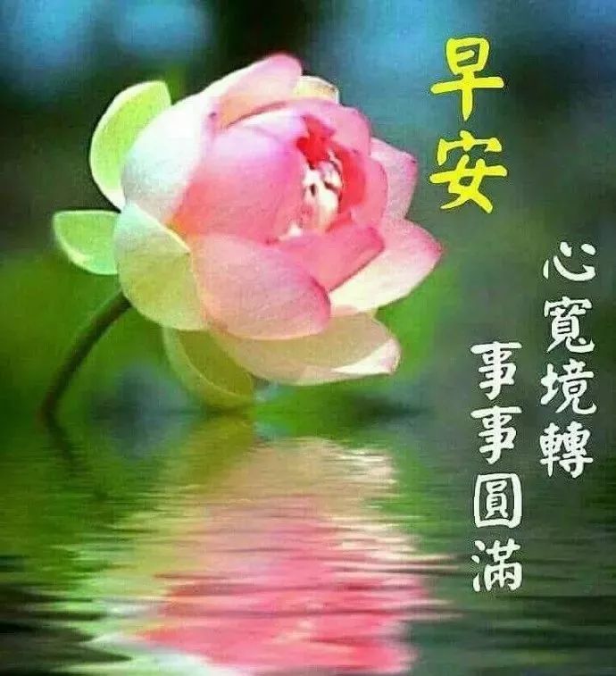 2021阳光暖人心的早安问候语动态表情图片早上好动态祝福唯美图片