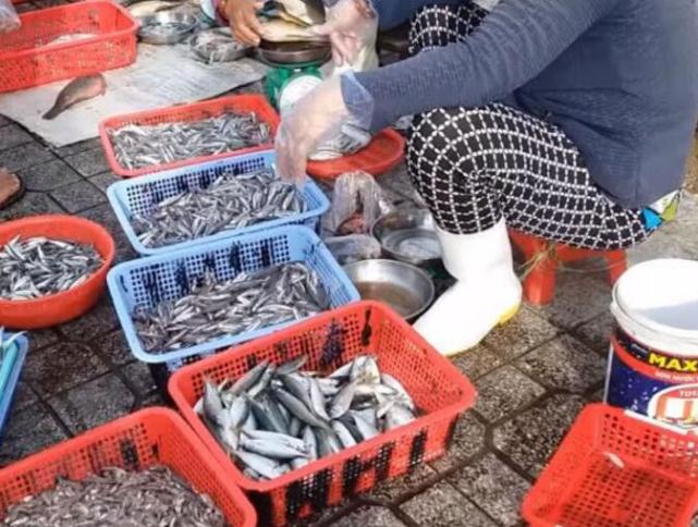 这野味曾经在市场随便见,现在想捕捞都困难,大婶摆摊