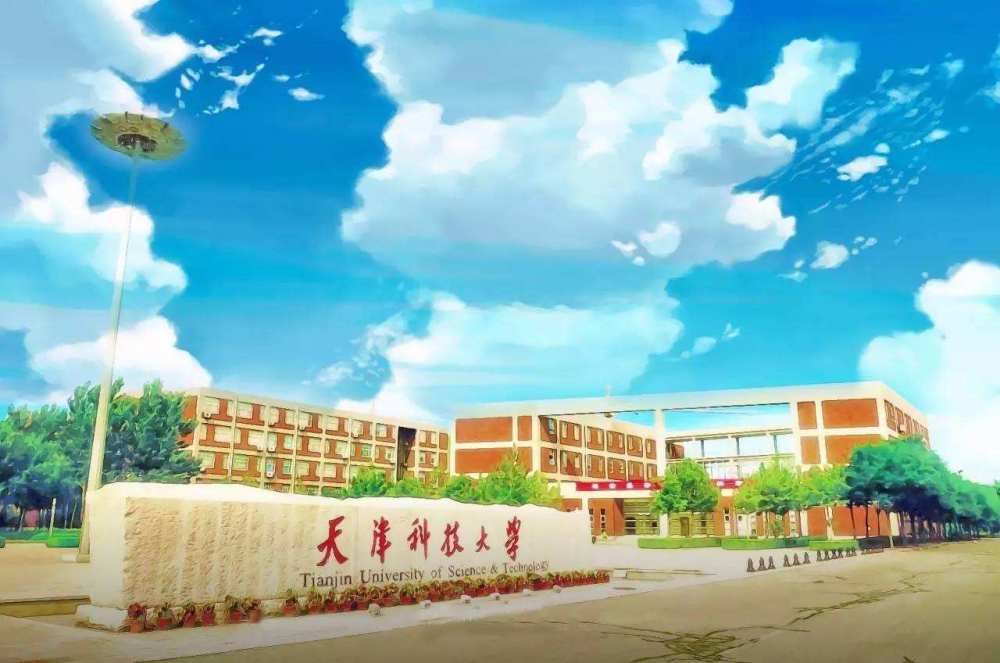 南开大学滨海学院